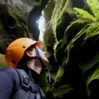 In the depths of the Blue Mountains canyons