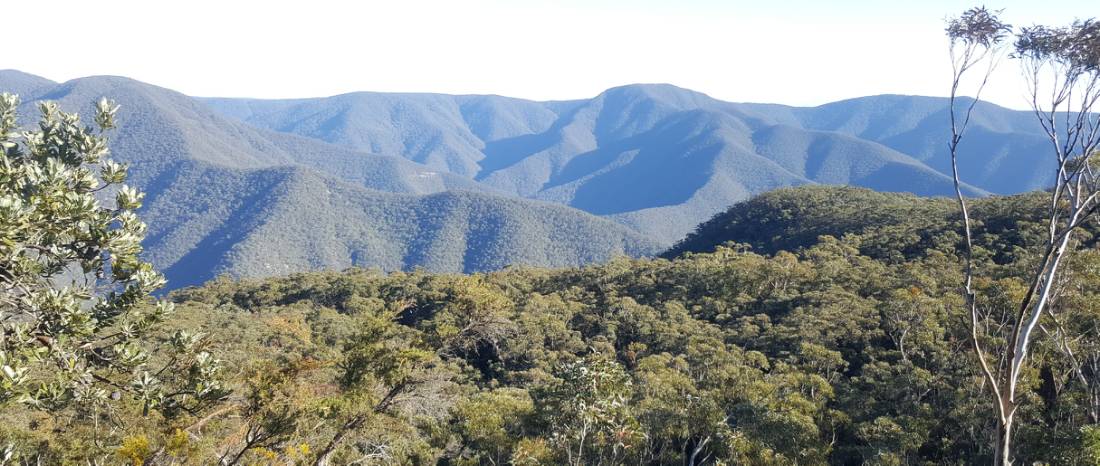 View from Mt Morilla on Day 2 of K2K |  <i>Lauren Storaker</i>